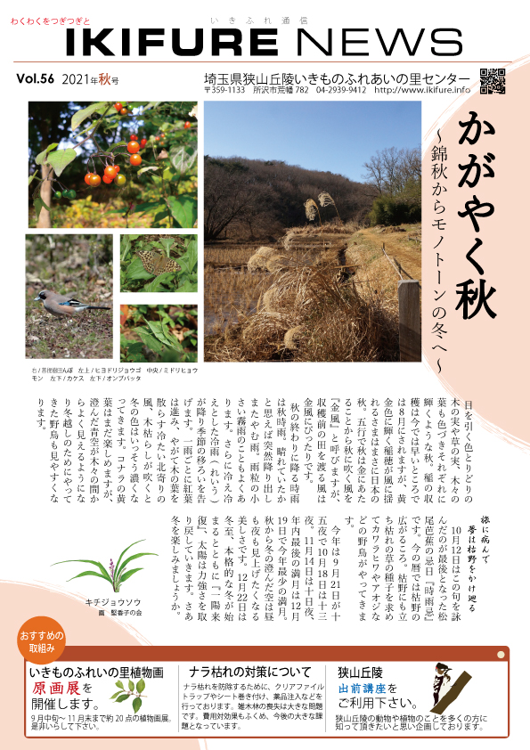 いきふれ通信56　表